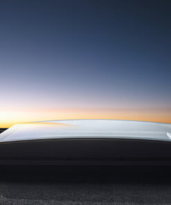 Flat Roof Windows